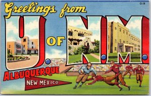 Greetings From University Of New Mexico NM Albuquerque Large Letter Postcard