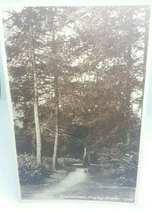 Antique Vintage Postcard Cranbrook Kent Angley Woods Real Photo