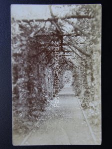 Dorset BLANDFORD Langton Gardens Archway c1911 RP Postcard by Frith