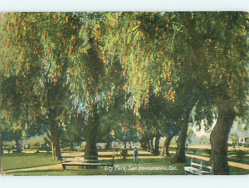 Divided-Back CITY PARK SCENE San Bernardino California CA r8198