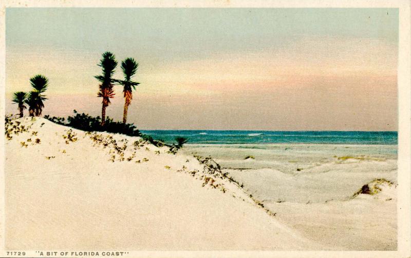 FL - Sandy Coastline