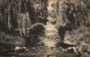 Ridgewood New Jersey NJ Ho-Ho-Kus Brook Weeping Willows Vintage Postcard