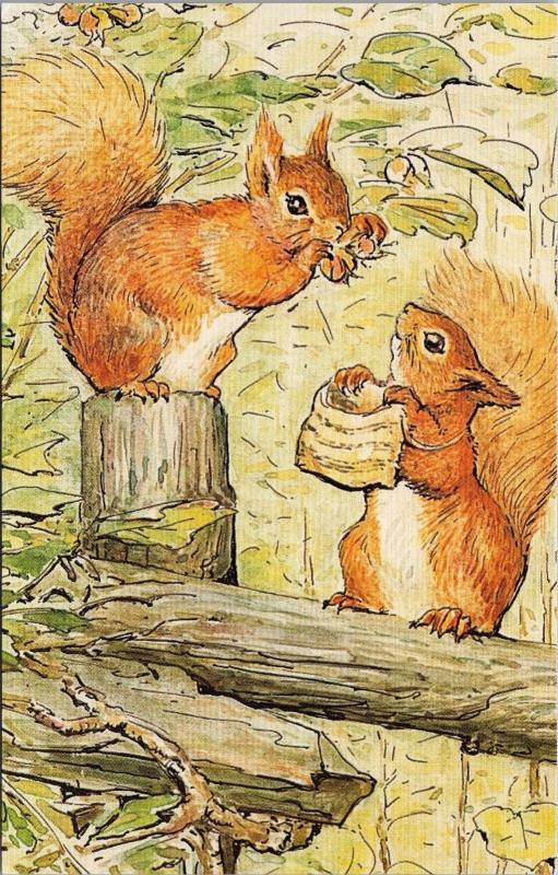 The World Of Peter Rabbit The Tale of Squirrel Nutkin Unused Postcard D49