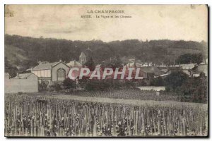 Old Postcard Champagne Avize La Vigne and Coreaux