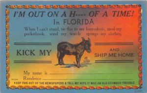 I'm Out On A H---- Of A Time In Florida~Kick My A-- Ship Me Home~Comic Postcard