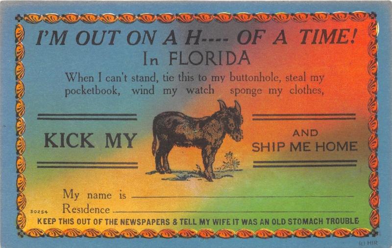 I'm Out On A H---- Of A Time In Florida~Kick My A-- Ship Me Home~Comic Postcard