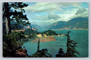 Columbia River Gorge Separating Oregon & Washington Vintage Postcard 0699