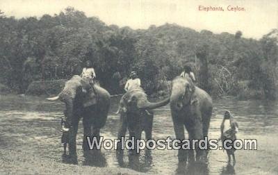 Elephants Ceylon, Sri Lanka Unused 