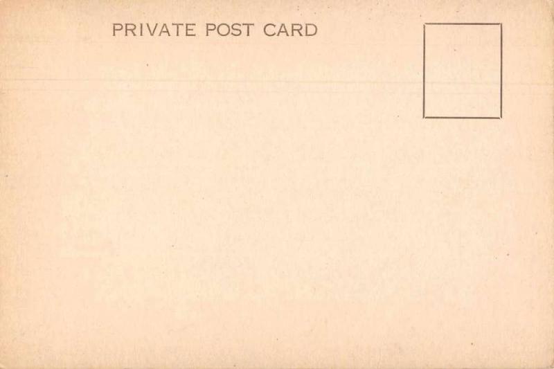 St John New Brunswick Canada Reversing Falls Steam Boat Antique Postcard J76281