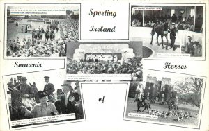 Multiview Postcard Sporting Ireland English Derby Horse Racing Fox & Hound