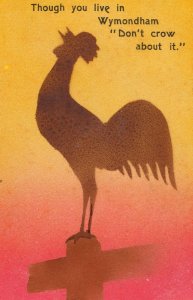 Wymondham Norfolk Crow Bird Antique Comic Postcard