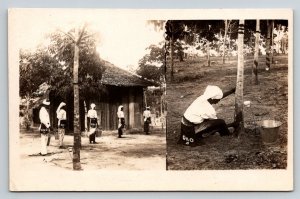 RPPC  Ceylon  Native Worker Harvesting Rubber Tree c1920  Postcard