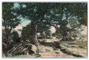 c1910 Old Indian Burial Ground Near Berkeley California Vintage Antique Postcard