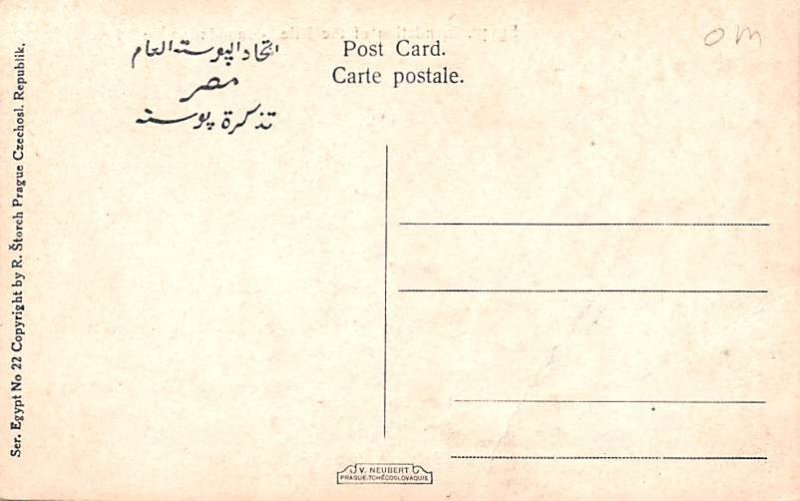 Inundation of the Nile Egypt, Egypte, Africa Unused 