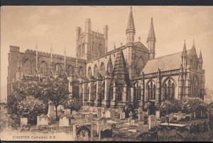 Cheshire Postcard - Chester Cathedral, South East View  RS3576