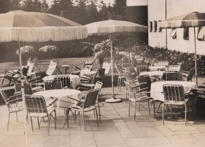 Motel Treffpunkt Hannover Vintage Gardens German Postcard