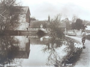 Young Boy with Dogs by Pond The Old Mill Horsham Sussex Vtg RP Postcard c1920s