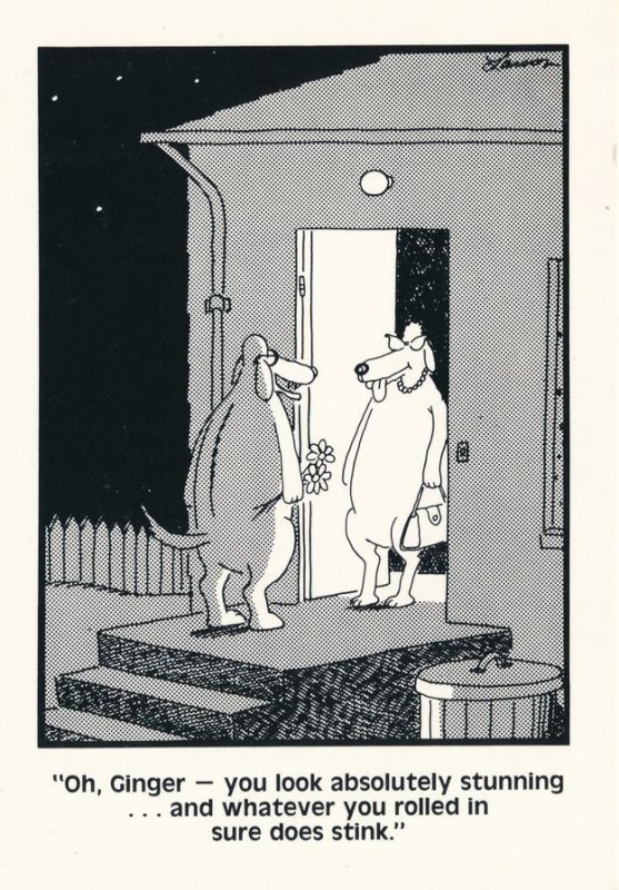 Far Side Cartoon Humor by Gary Larson - Dogs Dating Stunning Stinking Ginger