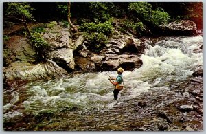 Great Smoky Mountains Tennessee 1960s Postcard Trout Fishing