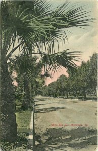Hand Colored 1908 White Oak Postcard Monrovia California Rieder 20-3111