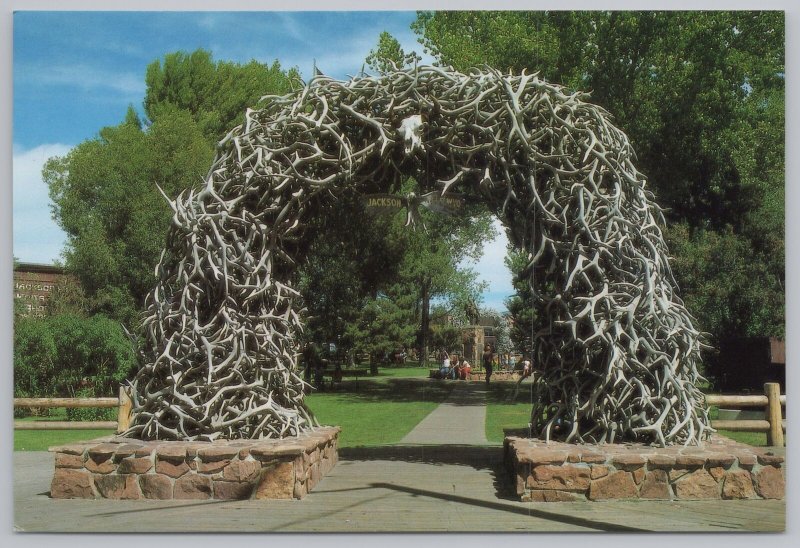 State View~Arch of Elkhorns Grand Teton Park Jackson WY~Continental Postcard 