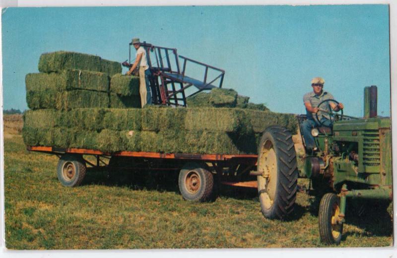 Load of Hay