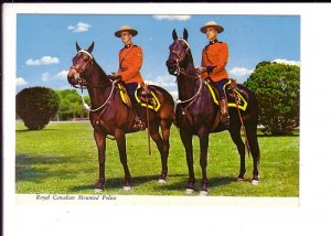 RCMP, Royal Canadian Mounted Police, Canada, Horses