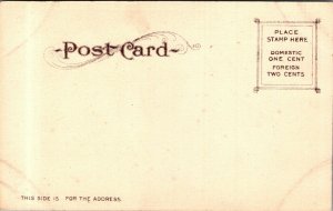 Stanford University CA Palo Alto Tree bridge c1905 undivided back vtg Postcard