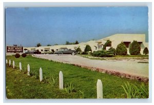 Vintage Blue Grass Motor Court Horse Cave Kentucky. Postcard F146E