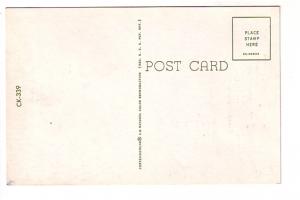 Four Blonde Kittens with Broom, Cats