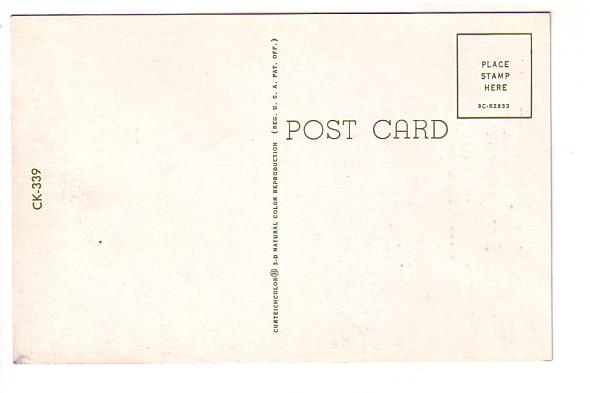 Four Blonde Kittens with Broom, Cats