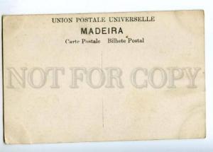 172945 PORTUGAL MADEIRA tempestade Vintage postcard