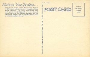 [C.T. Art] US California Sierra Madre - Wisteria Vine Gardens