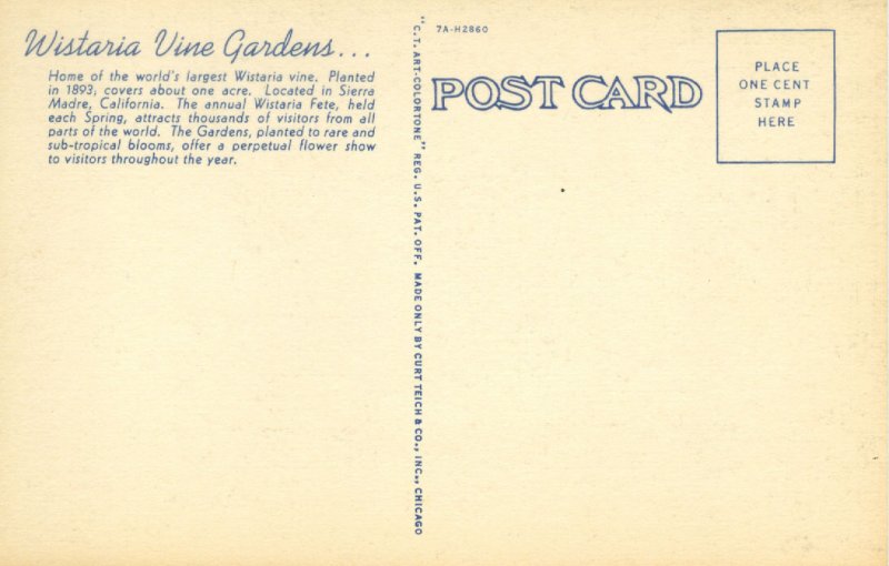[C.T. Art] US California Sierra Madre - Wisteria Vine Gardens