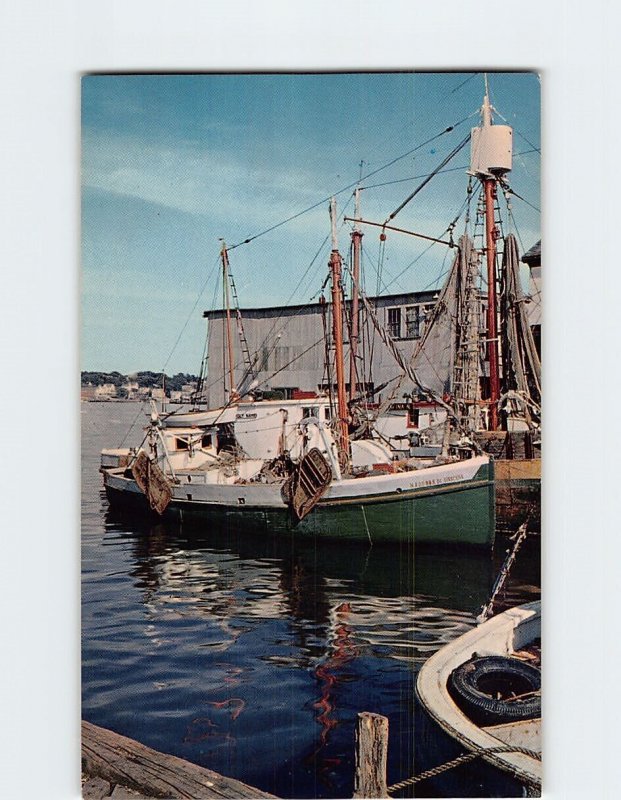 Postcard Along the Wharves in the Fishing Port of Gloucester, Massachusetts, USA