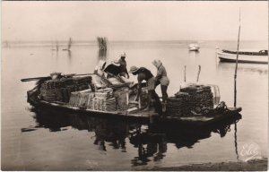 CPA Bassin d'ARCACHON-Travaux Ostréicoles-Le détroquage des Huitres (27909)