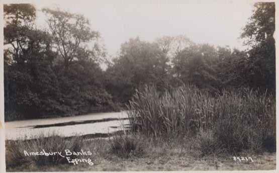 Amesbury Banks Epping Real Photo Postcard