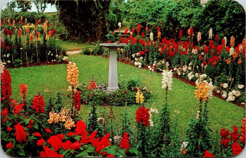 Par-La-Ville Gardens Hamilton Bermuda Salvia Snapdragons VTG Postcard PM Cancel 