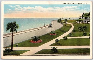 Bay Shore Drive Tampa Florida FL Landscape Grounds Palms Beach Postcard