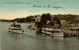 PC CPA AUSTRALIA, SYDNEY, LANE COVE RIVER, Vintage Postcard (b27126)