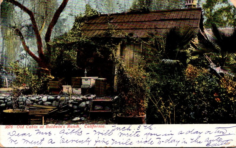 California Los Angeles Old Cabin At Baldwin's Ranch 1906