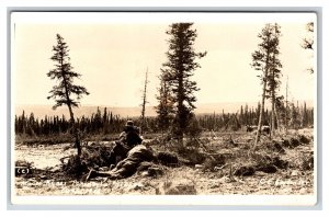 RPPC Moose Photographers Kenai Peninsula Alaska AK UNP 1913 Postrcard R20