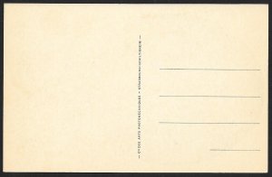 FAMOUS HISTORICAL PERSON Duc D'Aumale Unused c1910s