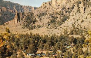 Cody Wyoming Blackwater Lodge Shoshone Forest Vintage Postcard K51744