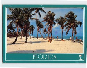 Postcard Beach Scene America's Tropical Paradise Florida USA