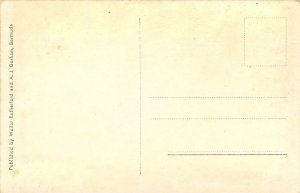 c1910 Bermuda Bicycle Rapid Transit Bicycle Walter Rutherford Postcard 25-7568