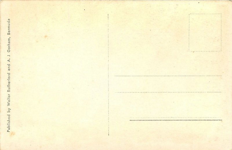 c1910 Bermuda Bicycle Rapid Transit Bicycle Walter Rutherford Postcard 25-7568