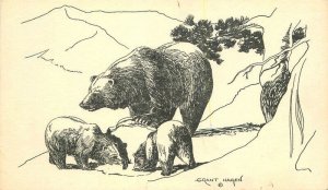 Wyoming Jackson Bears Grizzly Family Hagen artist 1940s Postcard 22-10854