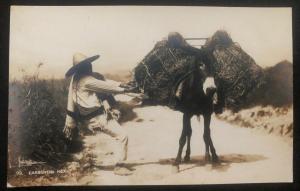 Mint Mexico Real Picture Postcard RPPC Donkey Carbonero