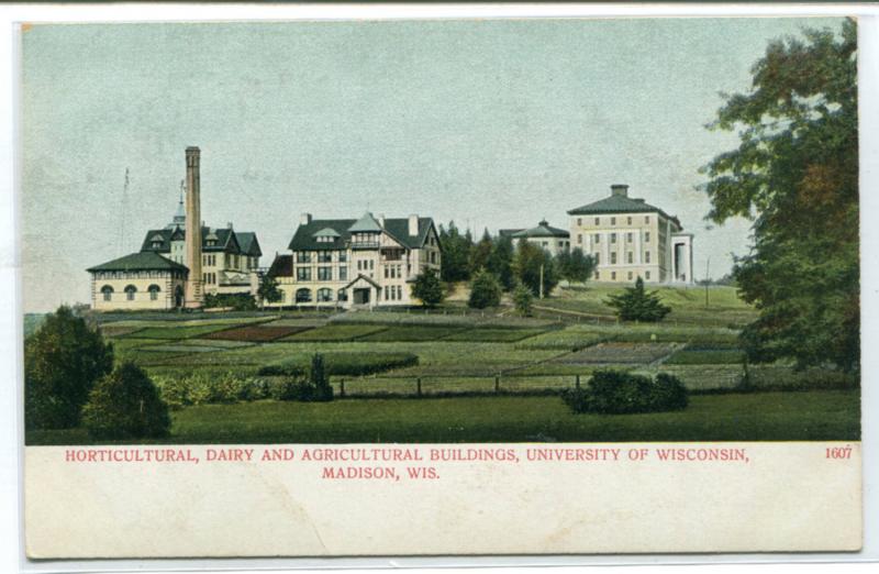 Agriculture Horticulture Dairy Buildings University Wisconsin Madison postcard